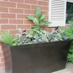 Purple and Green Planter
