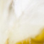 cropped-Pickles-LB1008_9667-LR.jpg